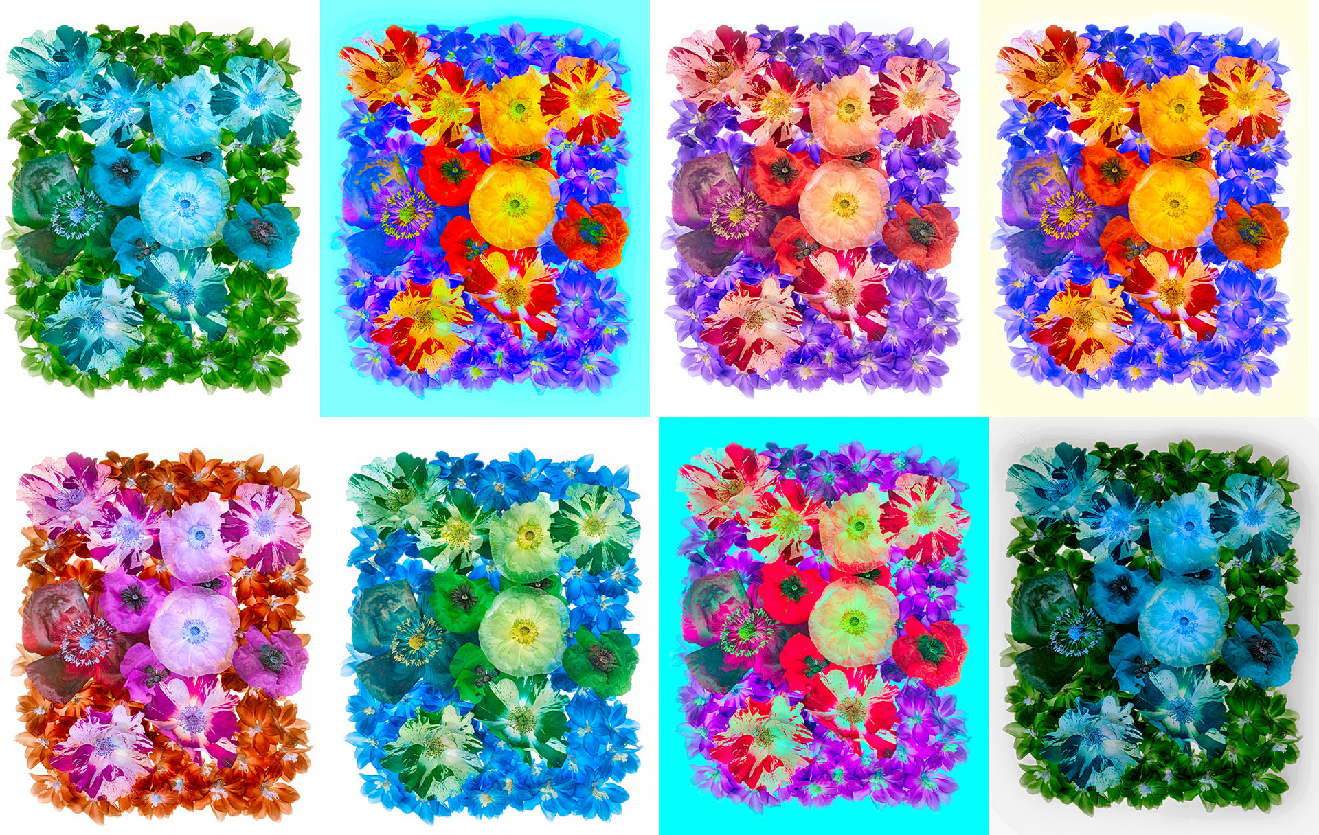 Making a Flower Block and LAB Collage – Harold Davis