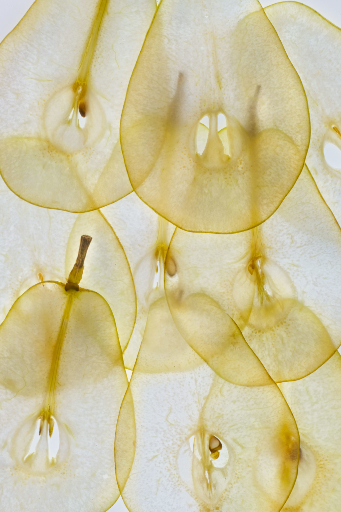 Sliced Fruit on my Light Box – Harold Davis